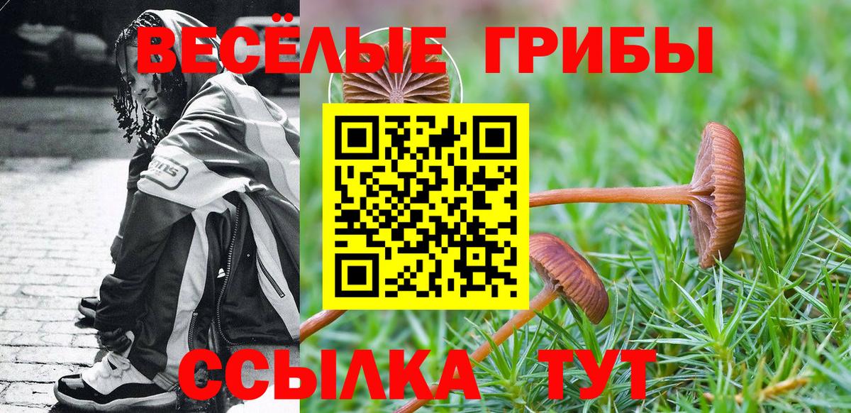 Каспийск  Псилоцибиновые грибы MAGIC MUSHROOMS  Вход с VPN 